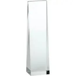 Hubris Award Unbranded